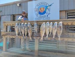 Black Drum & Sheepshead from South Texas